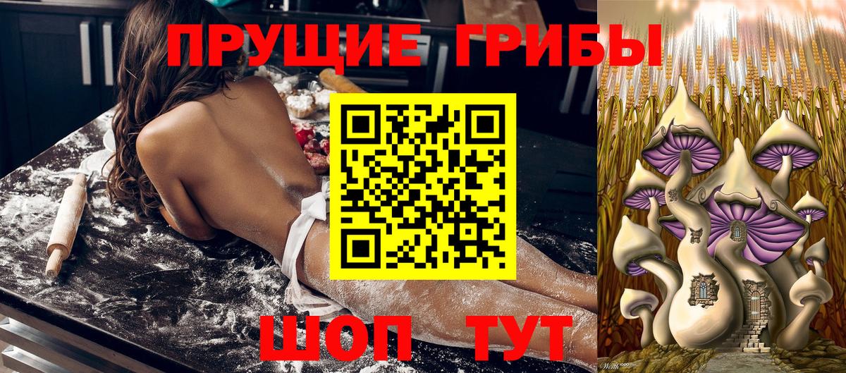 Псилоцибиновые грибы MAGIC MUSHROOMS  Вход с VPN  Верхний Уфалей 